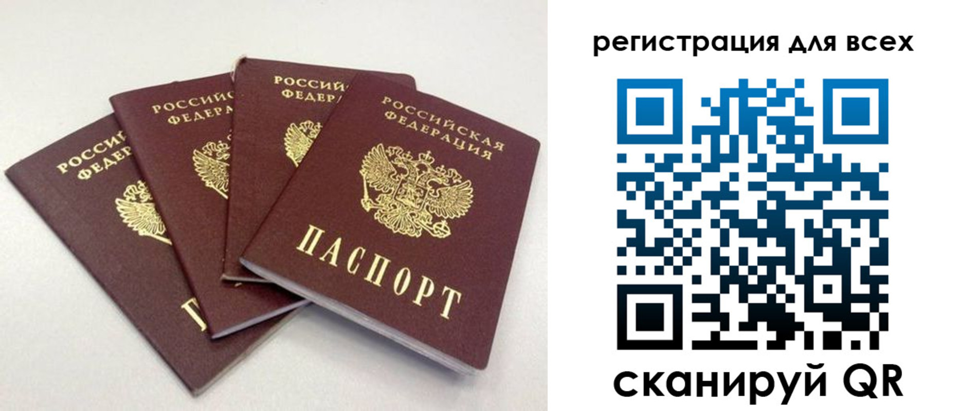 прописка законно в Ртищево